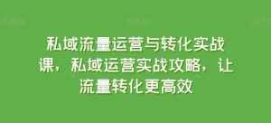 私域流量运营与转化实战课，私域运营实战攻略，让流量转化更高效-泰戈创艺资源库