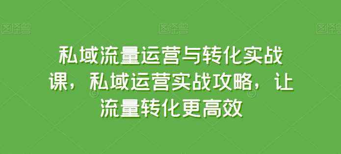 私域流量运营与转化实战课，私域运营实战攻略，让流量转化更高效-泰戈创艺资源库