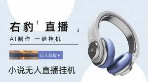 右豹小说无人直播挂机吸金项目，简单易行收益稳定， 月入1000+-泰戈创艺资源库