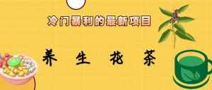 冷门暴力的最新项目，养生花茶，八九月份的红利期马上到来，两个月10w不是梦-泰戈创艺资源库