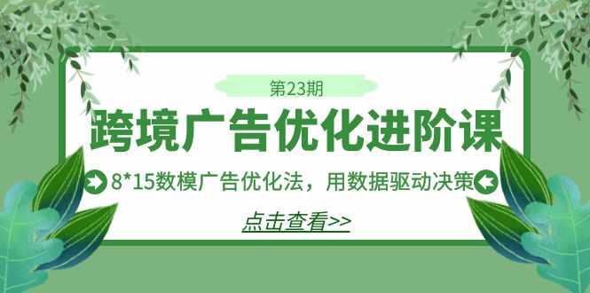 跨境广告·优化进阶课·第23期，8*15数模广告优化法，用数据驱动决策-泰戈创艺资源库