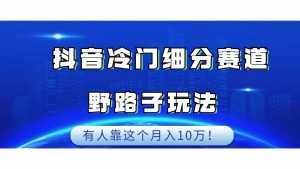抖音冷门细分赛道野路子玩法,有人靠这个月入10万-泰戈创艺资源库