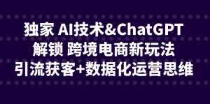 独家 AI技术&ChatGPT解锁 跨境电商新玩法,引流获客+数据化运营思维-泰戈创艺资源库