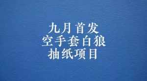 0成本，日入100-500空手套白狼抽纸项目，保姆级教学-泰戈创艺资源库