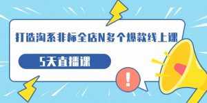 打造-淘系-非标全店N多个爆款线上课，5天直播课-泰戈创艺资源库