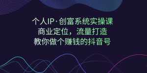个人IP·创富系统实操课:商业定位,流量打造,教你做个赚钱的抖音号-泰戈创艺资源库