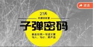 《子弹密码训练营》-用一句话文案勾人勾心卖产品,21天学到顶尖文案大师策略和技巧-泰戈创艺资源库