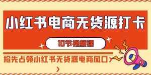 小红书电商无货源打卡,抢先占领小红书无货源电商风口(10节课)-泰戈创艺资源库