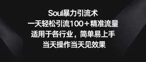 Soul暴力引流术,一天轻松引流100+精准流量,适用于各行业,简单易上手!-泰戈创艺资源库