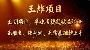 王炸项目!单账号稳定收益300+,适合长期操作的副业兼职。-泰戈创艺资源库
