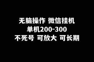 无脑操作微信挂机单机200-300一天，不死号，可放大-泰戈创艺资源库