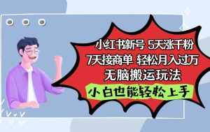 小红书影视泥巴追剧5天涨千粉7天接商单轻松月入过万无脑搬运玩法，小白也能轻松上手-泰戈创艺资源库