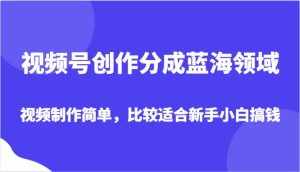 视频号创作分成蓝海领域，视频制作简单，比较适合新手小白搞钱-泰戈创艺资源库