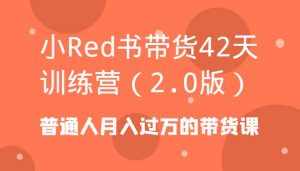 小Red书带货42天训练营（2.0版）普通人月入过万的带货课-泰戈创艺资源库