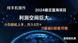2024新蓝海项目 无门槛高利润长期稳定  纯手机操作 单日收益3000+ 小白当天上手-泰戈创艺资源库