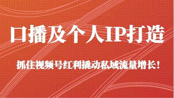 口播及个人IP打造，抓住视频号红利撬动私域流量增长！（45节课）-泰戈创艺资源库