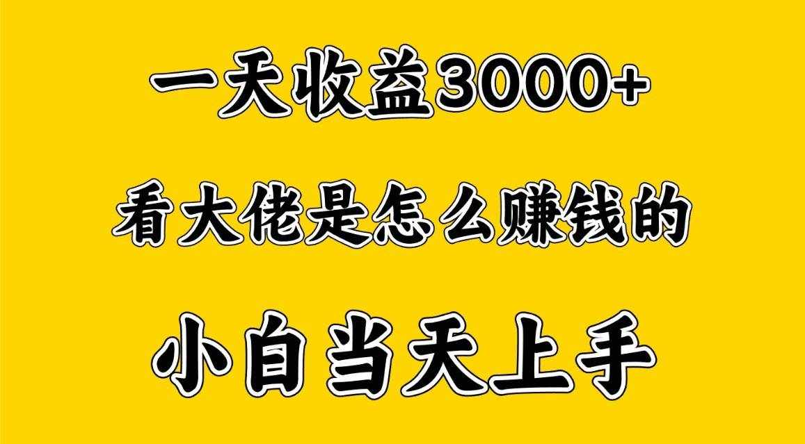 一天赚3000多，大佬是这样赚到钱的，小白当天上手，穷人翻身项目-泰戈创艺资源库