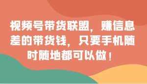 视频号带货联盟，赚信息差的带货钱，只需手机随时随地都可以做！-泰戈创艺资源库