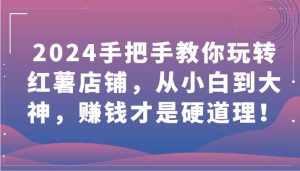2024手把手教你玩转红薯店铺，从小白到大神，赚钱才是硬道理！-泰戈创艺资源库