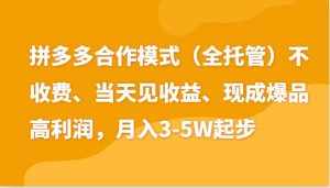 最新拼多多模式日入4K+两天销量过百单，无学费、老运营代操作、小白福利-泰戈创艺资源库