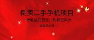 倒卖二手手机项目,一单收益几百元,利润空间大,收益高,收益无上线-泰戈创艺资源库