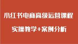 小红书电商高级运营课程 实操教学+案例分析-泰戈创艺资源库