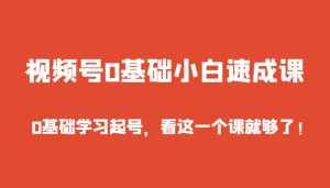 视频号0基础小白速成课,0基础学习起号,看这一个课就够了!-泰戈创艺资源库