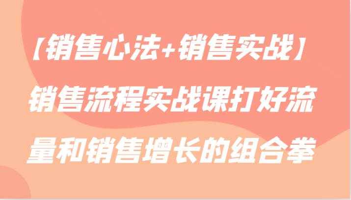 【销售心法+销售实战】销售流程实战课打好流量和销售增长的组合拳-泰戈创艺资源库