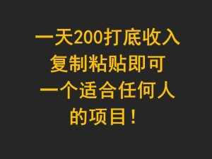 一天200打底收入，复制粘贴即可，一个适合任何人的项目！-泰戈创艺资源库