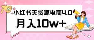 小红书新电商实战 无货源实操从0到1月入10w+ 联合抖音放大收益-泰戈创艺资源库