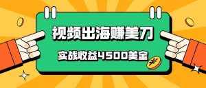 国内爆款视频出海赚美刀，实战收益4500美金，批量无脑搬运，无需经验直接上手-泰戈创艺资源库