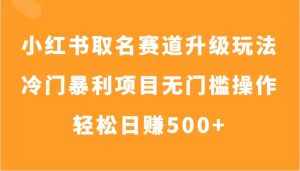 小红书取名赛道升级玩法，冷门暴利项目无门槛操作，轻松日赚500+-泰戈创艺资源库