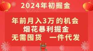 年前月入3万+的机会,烟花暴利掘金,无需囤货,一件代发-泰戈创艺资源库