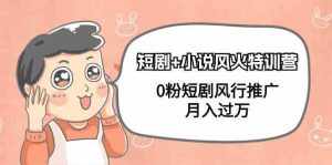 小说+短剧风火特训营，0粉短剧小说风行推广，实现月入过万-泰戈创艺资源库