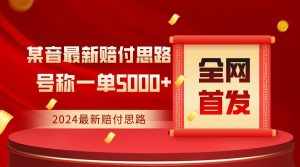 全网首发,2024最新某音赔付思路,号称一单收益5000+-泰戈创艺资源库