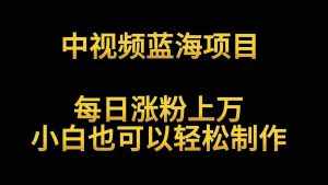 中视频蓝海项目，解读英雄人物生平，每日涨粉上万，小白也可以轻松制作，月入过万-泰戈创艺资源库