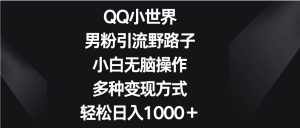 QQ小世界男粉引流野路子，小白无脑操作，多种变现方式轻松日入1000＋-泰戈创艺资源库