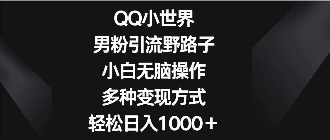 QQ小世界男粉引流野路子，小白无脑操作，多种变现方式轻松日入1000＋-泰戈创艺资源库