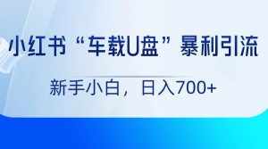 小红书“车载U盘”项目，暴利引流，新手小白轻松日入700+-泰戈创艺资源库