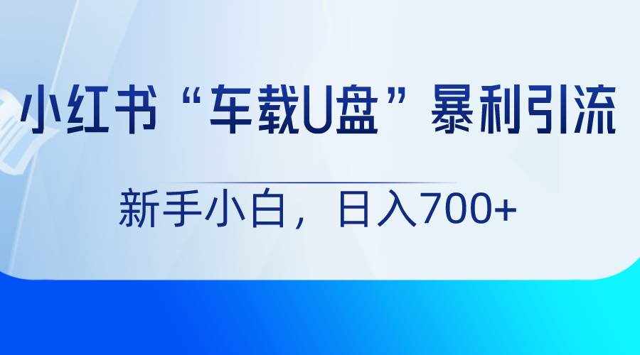 小红书“车载U盘”项目，暴利引流，新手小白轻松日入700+-泰戈创艺资源库