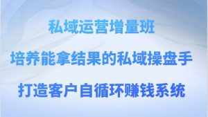 私域运营增量班 培养能拿结果的私域操盘手，打造客户自循环赚钱系统-泰戈创艺资源库