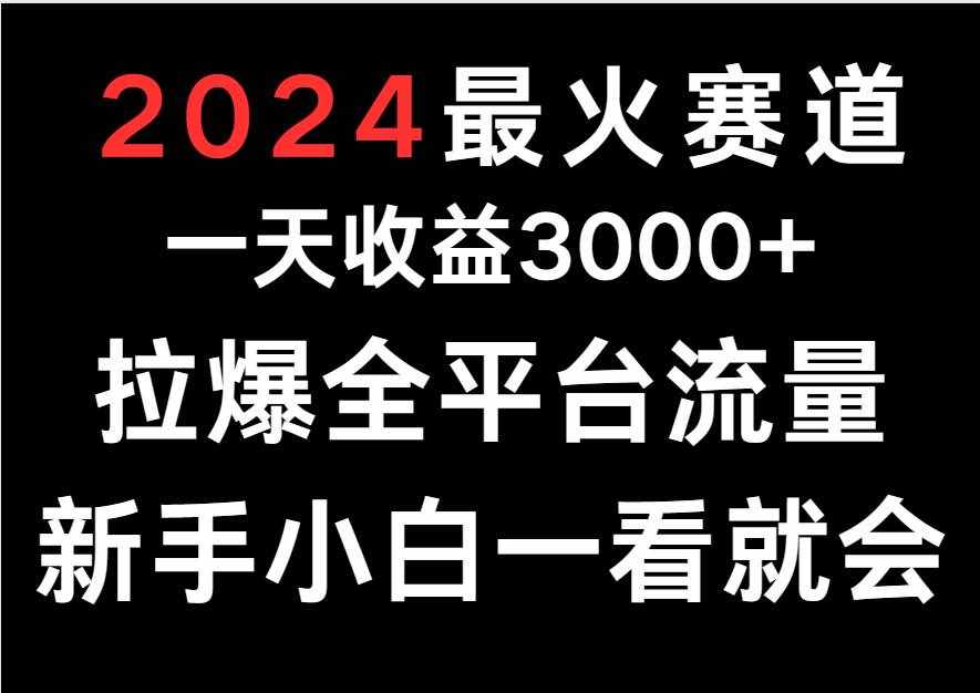 2024最火赛道，一天收一3000+.拉爆全平台流量，新手小白一看就会-泰戈创艺资源库