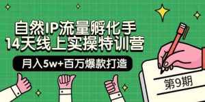 自然IP流量孵化手14天线上实操特训营【第9期】月入5w+百万爆款打造 (74节)-泰戈创艺资源库