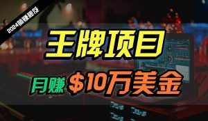 王牌项目月入10W美金，2024最新国外挂机撸U项目，全程无人值守，可批量放大！-泰戈创艺资源库