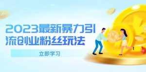 2023最新暴力引流创业粉丝玩法,单日被动引流50+创业粉-泰戈创艺资源库