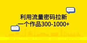 利用流量密码拉新，一个作品300-1000+-泰戈创艺资源库