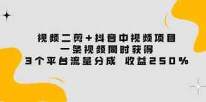 视频二剪+抖音中视频项目:一条视频获得3个平台流量分成 收益250% 价值4980-泰戈创艺资源库