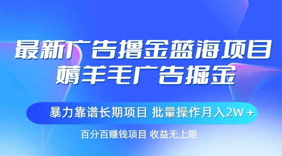 （11193期）最新广告撸金蓝海项目，薅羊毛广告掘金 长期项目 批量操作月入2W＋-泰戈创艺资源库