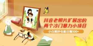 抖音老照片扩展出的两个冷门暴力小项目,小白照抄也能日撸500+-泰戈创艺资源库