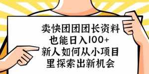 卖快团团团长资料也能日入100+ 新人如何从小项目里探索出新机会-泰戈创艺资源库